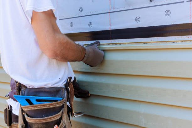 Affordable Emergency Siding Repair solutions in Erie, IL
